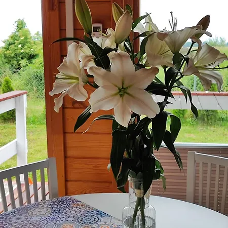 Blisko Natury - W Sztutowie بيت للعطل