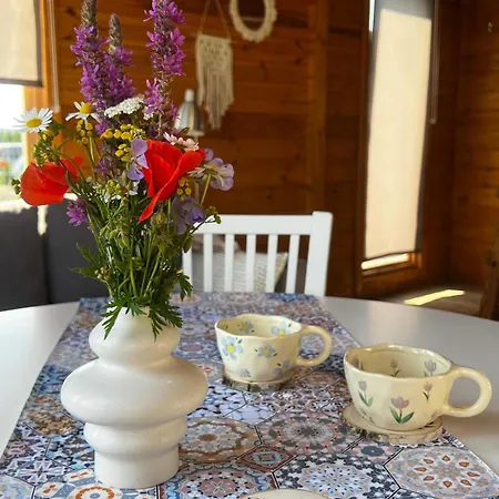 Blisko Natury - W Sztutowie * شتوتوفو