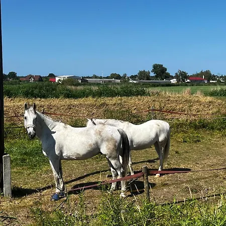 Blisko Natury - W Sztutowie *