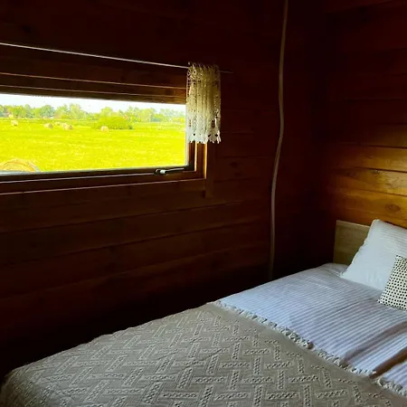 Blisko Natury - W Sztutowie * Sztutowo