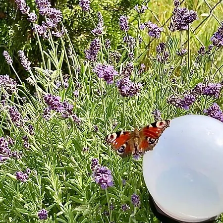 Blisko Natury - W Sztutowie بيت للعطل *