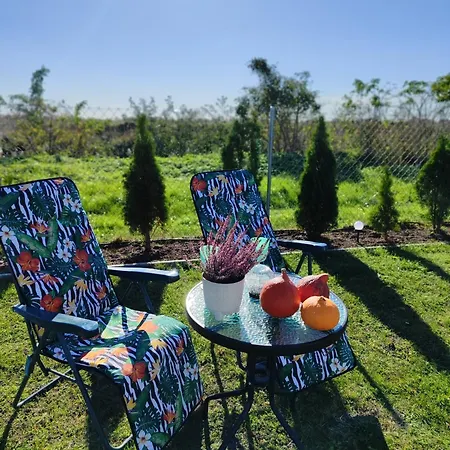 Blisko Natury - W Sztutowie