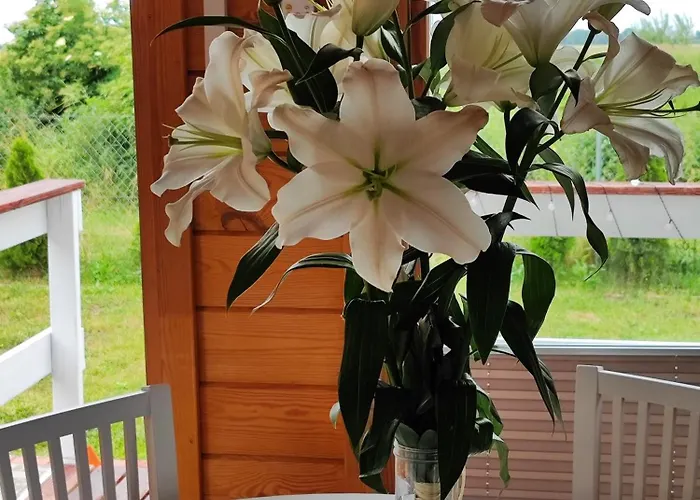 Blisko Natury - W Sztutowie 펜션