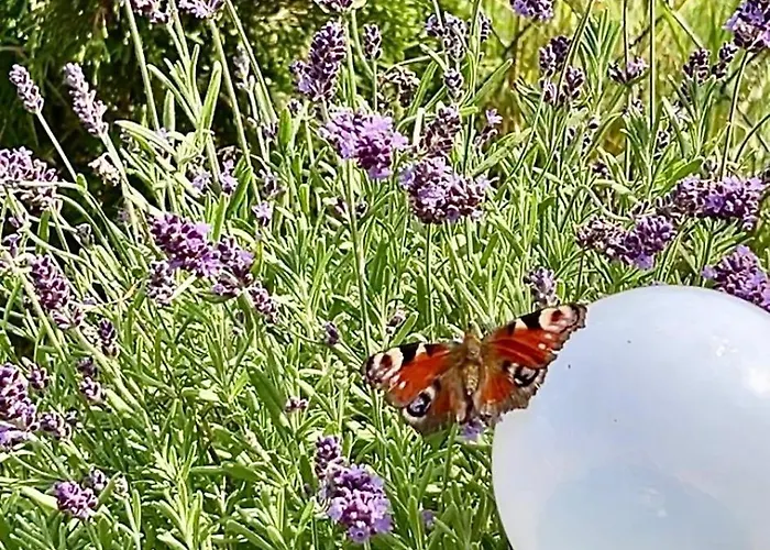 Blisko Natury - W Sztutowie 펜션 *